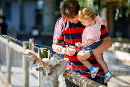 Adorable cute toddler girl and young father feeding little goats and sheeps on a kids farm. Beautiful baby child petting animals in petting zoo. man and daughter together on family weekend vacations.の写真素材