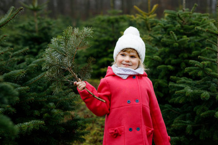 Adorable little toddler girl with Christmas tree on fir tree cutting plantation . Happy child in winter fashion clothes choosing, cut and felling own xmas tree in forest, family tradition in Germanyの写真素材