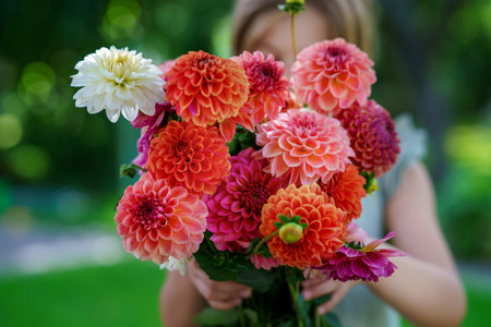 Close up of little preschool girl with dahlia flower bouquet. Close-up of happy child holding colorful garden summer flowers for mothers day or birthday. Closeup of flowers in rainbow colors.の写真素材