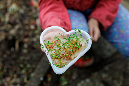 Little girl holding cress salad box in heart shape in her handsの写真素材