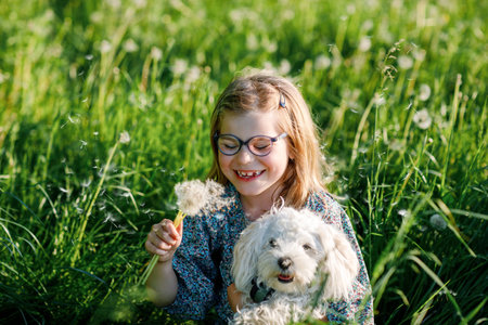 Adorable cute little girl blowing on a dandelion flower on the nature in the summer. Happy school...