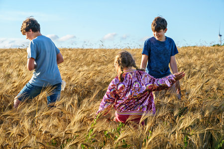 Three children having fun on yellow wheat field in summer on summer day. Two brother boys and little sister girl. Active outdoors leisure for family. Kids playing together.の写真素材