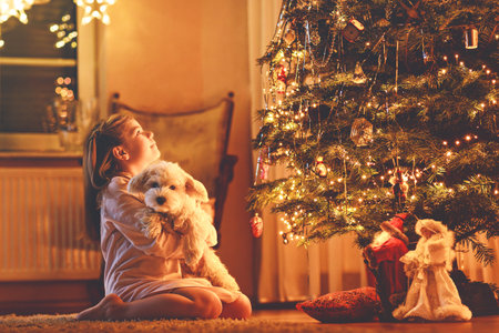 Beautiful little girl playing with her favourite maltese puppy near Christmas tree on Xmas Eve. Children and animals concept. Girl cares about pet at home. Happy child and dog. Magic season.の写真素材