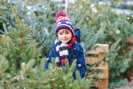 Funny little smiling kid boy holding christmas tree. Happy child in winter fashion clothes choosing and buying xmas tree in outdoor shop. Family, tradition, celebrationの写真素材