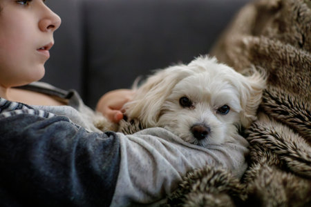 Sad eenager boy and cute maltese puppy together. Tired sick child holding his dog at home, hugging....
