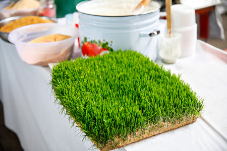 Sumalak, a sweet paste made from germinated wheat young wheatgrass and wheat flour, which is prepared especially for Nowruz in a large pot on market in Tashkent, Uzbekistanの写真素材