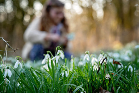 Cute little school girl with eye glasses gathering snowdrop flowers on field in park or forest on a spring day. Little kid exploring nature. Outdoor activities for childrenの写真素材