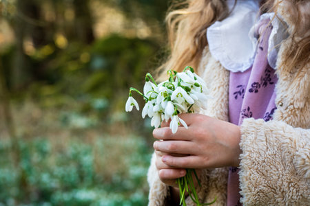 Portrait of cute little school girl holding snowdrop flowers on field in park or forest on a spring day. Little kid exploring nature. Outdoor activities for childrenの写真素材