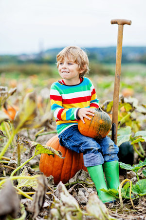 Adorable little kid boy picking pumpkins on Halloween pumpkin patch.