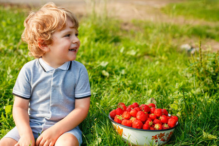 Little boy sitting next to a big bowl of strawberries, laughing happily. Child enjoying fresh fruit outdoors. Real life, real people, summer, nature, childhood joy. Toddler eating strawberryの写真素材