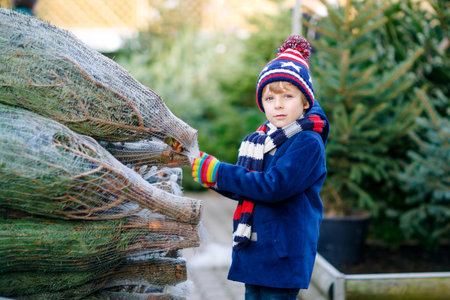 Adorable little smiling kid boy holding Christmas tree on market. Happy healthy child in winter fashion clothes choosing and buying big Xmas tree in outdoor shop. Family, tradition, celebration.の写真素材