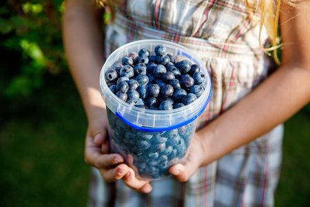 Little schoolgirl with glasses picking and eating fresh ripe blueberries in summer. Happy child enjoying nature. Real life, real people.の写真素材