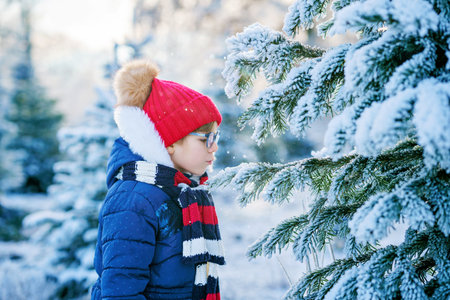Little girl playing with snow. Happy preschool child in winter forest on snowy cold December dayの写真素材