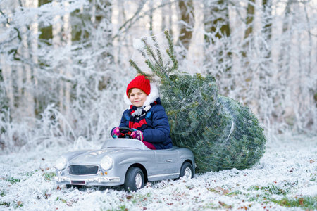 Happy little smiling girl driving toy car with Christmas tree. Funny preschool child in winter clothes bringing hewed xmas tree from snowy forest. Family, tradition, holiday.の写真素材