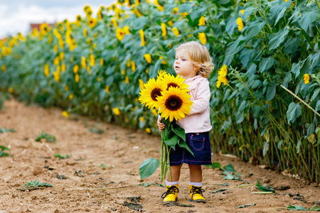 Toddler girl standing in a sunflower field holding a bouquet of bright yellow sunflowers, enjoying a calm summer day outdoors, real life childhood momentの写真素材