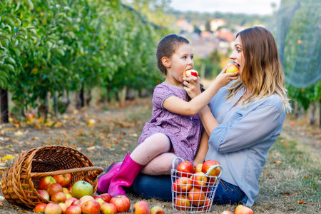 Mother and daughter sitting in an apple orchard with baskets of freshly picked apples, enjoying a calm autumn harvest day outdoors, real life family moment. Woman and little girlの写真素材
