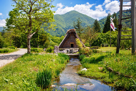 Historic Japanese village Shirakawa-go in summer with traditional gassho-zukuri houses, steep thatched roofs and green mountain landscapeの写真素材