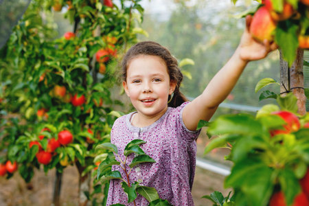 Smiling girl holding apples in an orchard during harvest season, kneeling beside a wicker basket,...