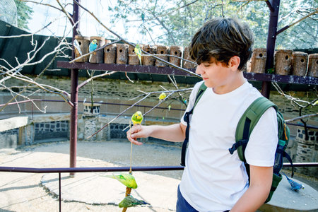 Excited teenager boy feeding colorful parrot birds at zoo or aviary. Happy teenage child interacting...