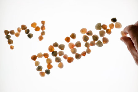Close-up of a male hand making up the phrase My Dream made of seashells on a white background....