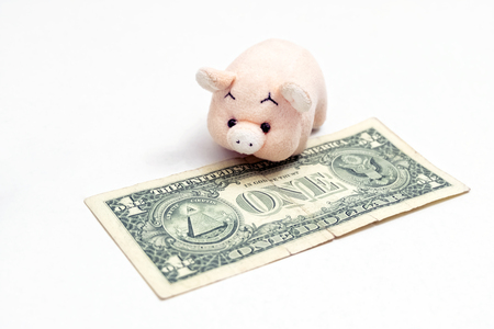 The concept of celebrating the New Year of the pig or financial savings. Toy pink piglet next to the one-dollar US note. Piggy bank. White background.の写真素材