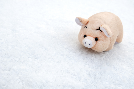 Toy pink pig on white snow. Copy space.の写真素材