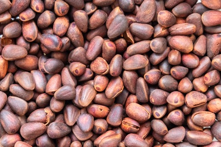 Background roasted pine nuts. Natural texture. Background roasted pine nuts. Healthy eating concept, vegetarianism.の写真素材