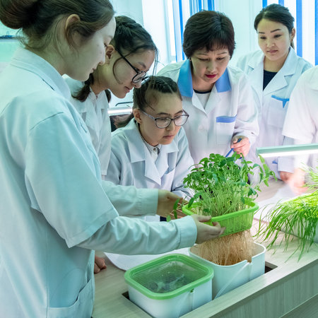 2019-09-01, Kazakhstan, Kostanay. Growing plants by hydroponics in a high school laboratory class....