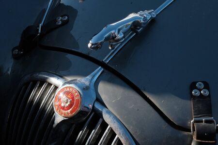 Kazakhstan, Kostanay, 19-06-19, The emblem of a vintage car Jaguar. Rally Peking to Paris. Close-up of the part of the hood of a retro car. Dirt and stains from broken insects.のeditorial素材
