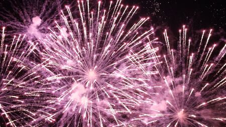Sparkling purple celebration fireworks over starry sky. Independence Day, 4th of July, New Year holidays salute background.の写真素材