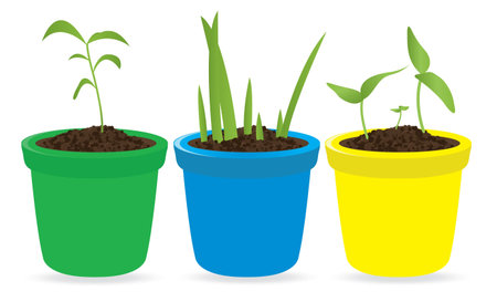Potted seedling. Vector illustrationのイラスト素材