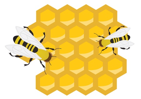 Honeycomb and bees. Vector illustrationのイラスト素材