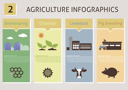 Agriculture infographics  Vector for you designのイラスト素材