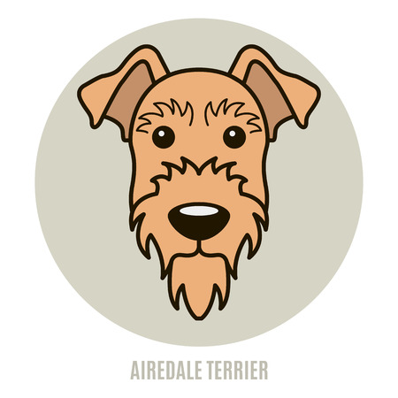 Portrait of Airedale Terrier. Vector illustration in style of flatのイラスト素材