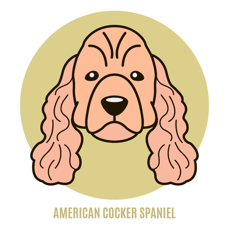 Portrait of American Cocker Spaniel. Vector illustration in style of flatのイラスト素材