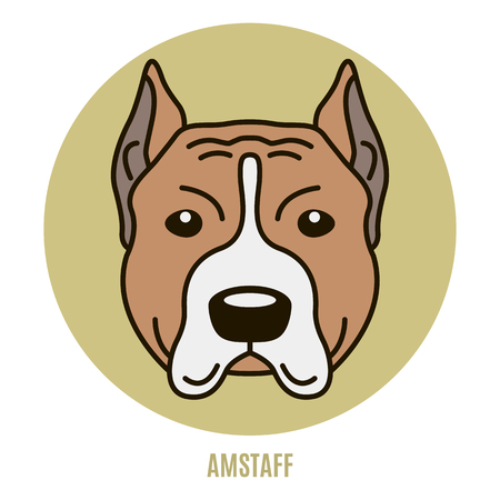 Portrait of Amstaff. Vector illustration in style of flatのイラスト素材