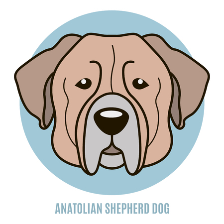 Portrait of Anatolian Shepherd dog. Vector illustration in style of flatのイラスト素材