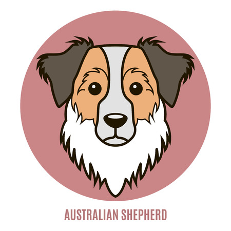 Portrait of Australian Shepherd. Vector illustration in style of flatのイラスト素材