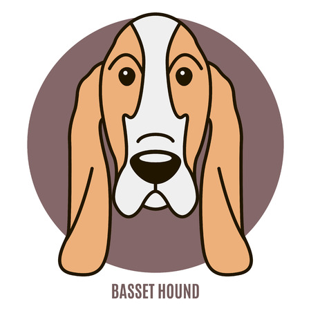 Portrait of Basset Hound. Vector illustration in style of flatのイラスト素材