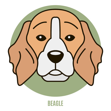 Portrait of Beagle. Vector illustration in style of flatのイラスト素材