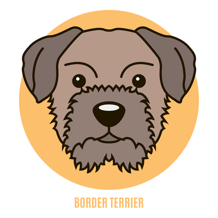 Portrait of Border Terrier. Vector illustration in style of flatのイラスト素材