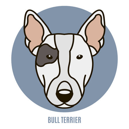 Portrait of Bull Terrier. Vector illustration in style of flatのイラスト素材
