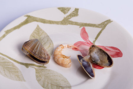 Clam and shrimp on saucer.