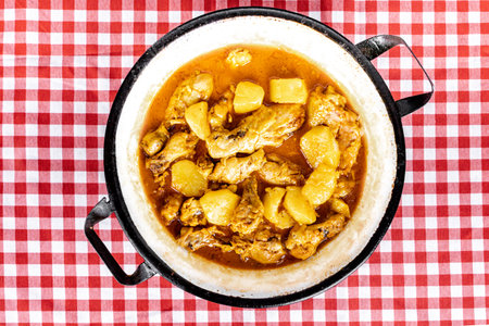 homemade chicken stew with tomato, onion and potato on checkered tablecloth. Top view.の写真素材