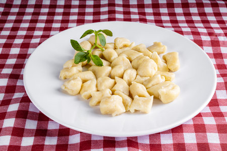 GNOcchi COOKED IN A WHITE PLATE ON A CHECKED TOWEL.の写真素材