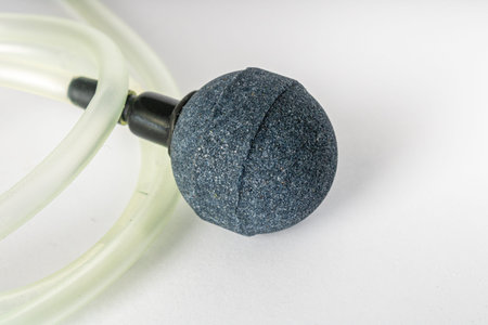 Small transparent hose with porous stone at the end to generate air bubbles inside the marine...