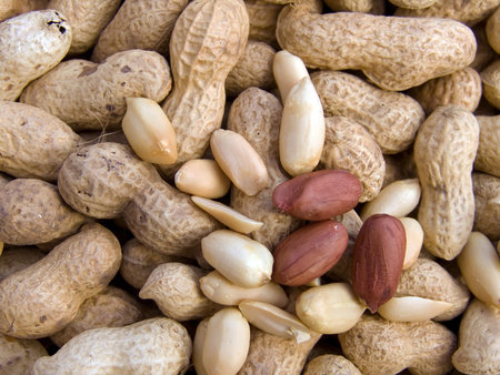 Agricultural background, a pile of beautifu clearedl peanut