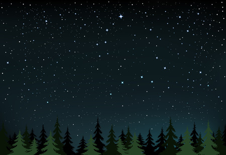 The night wood and space with stars that show a little and the Big Dipperのイラスト素材
