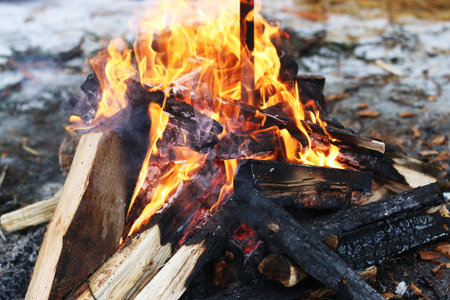Burning big log fire in fireplace. Closeup flame. Bonfire campfire
