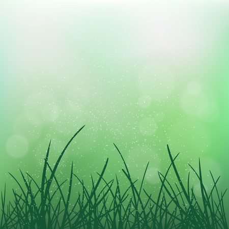 Nature grass on blur green bokeh background. Natural blurred spring or summer abstract flora design backdrop. Agriculture farm empty wallpaperのイラスト素材